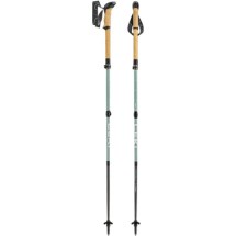 Leki-Makalu-FX-Carbon-Compact-SET-greygreen-65620622C5